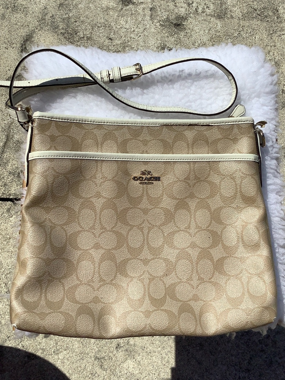 GUC COACH Double C’s Crossbody (Needs Strap Repair)